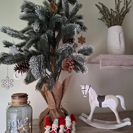 Oliva * Salgótarján